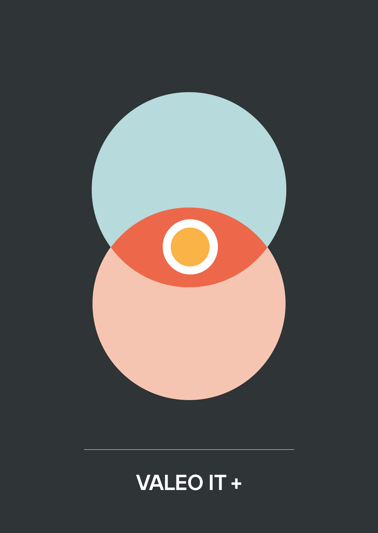 valeo-it_thumbs_intranet_vi+