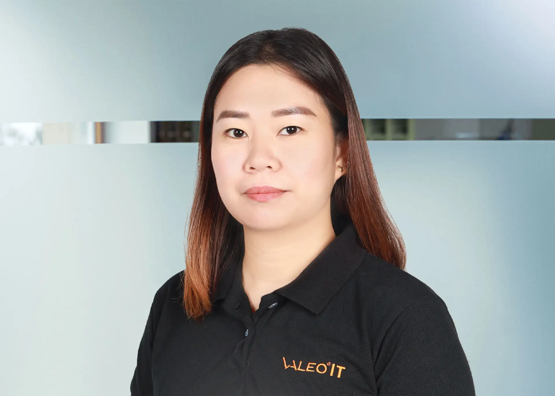 Karriere | VALEO IT Services International joana