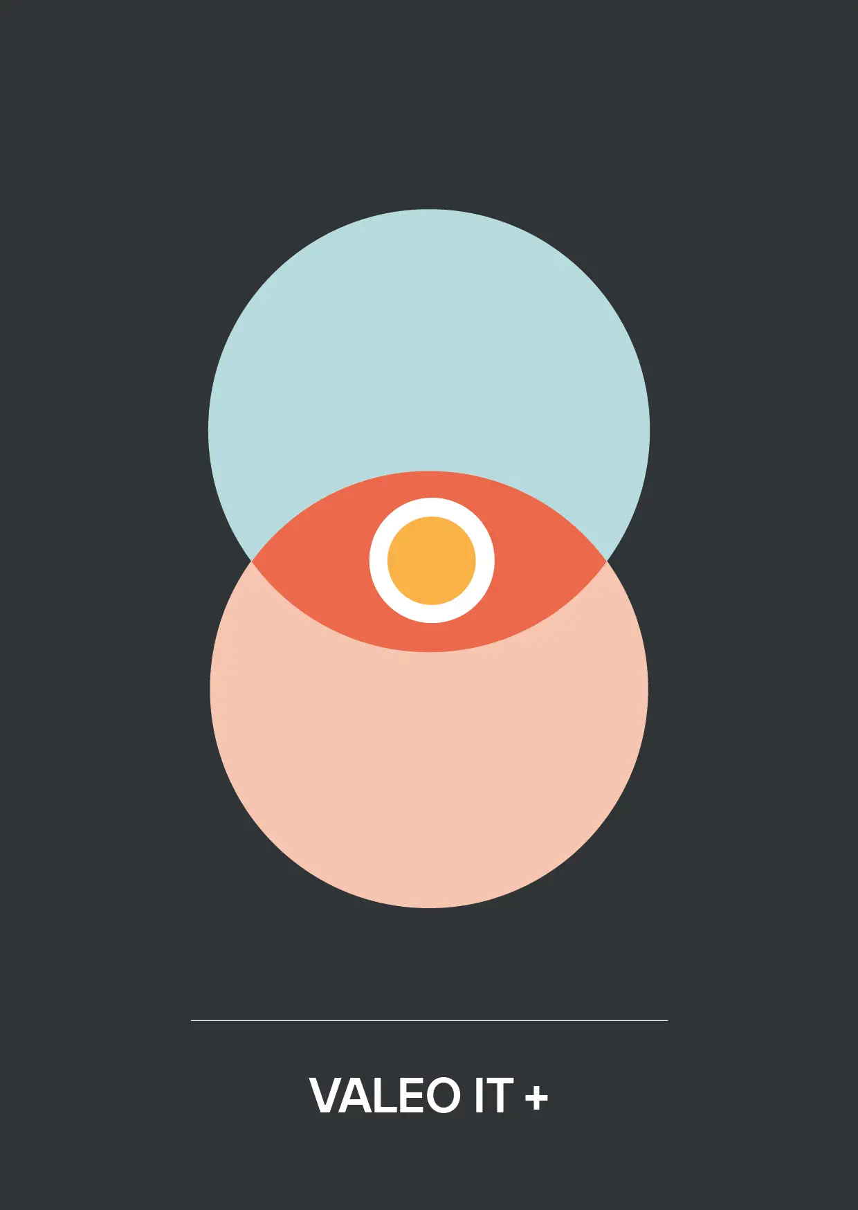 valeo-it_thumbs_intranet_vi